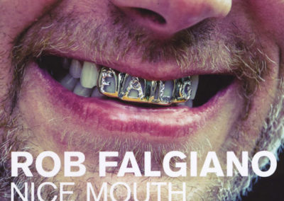 nice_mouth_cover